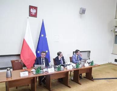 Miniatura: Kłopoty jednego z doradców komisji...