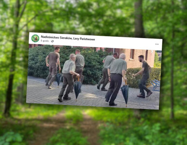 Miniatura: Nadleśnicy założyli grupę taneczną....
