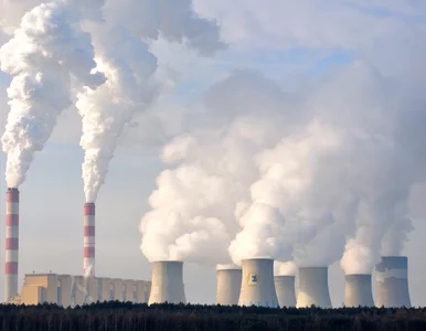 Miniatura: Emisja CO2 na celowniku. Rząd zmieni normy...