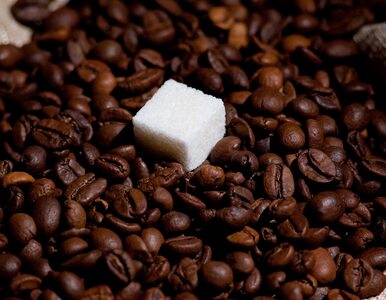 Miniatura: Słodzisz kawę? To może wpływać na wątrobę