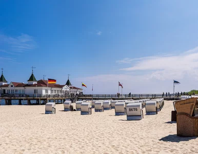 Miniatura: Niemcy niezadowoleni z odkrycia w...