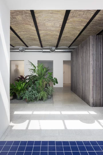 Elysium SPA, projekt GRAU architects Linka, GRAU architects