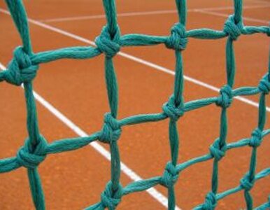 Miniatura: Turniej ATP w Bastad: Ferrer najlepszy