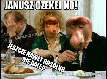 Mem z nosaczem sundajskim 