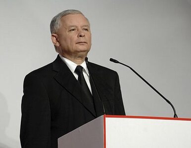 Miniatura: "Kaczyński tonie pod ciężarem własnych...