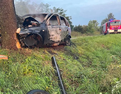 Miniatura: Śmiertelny wypadek w Wielkopolsce. Pojazd...