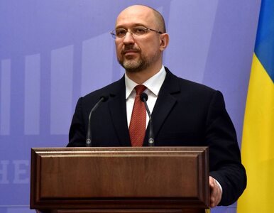Miniatura: Premier Ukrainy dziękuje Polakom. „Wasz...