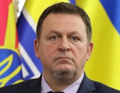 Miniatura: Wiceminister obrony Ukrainy podał się do...