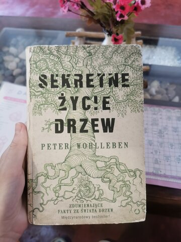 Książka Jeffreya