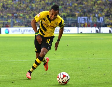 Miniatura: Aubameyang zachoruje na ebolę? Panika w...