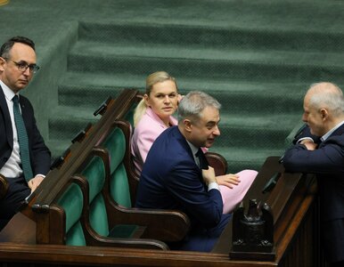 Miniatura: MEN wykonało zwrot, Polacy wystawili...