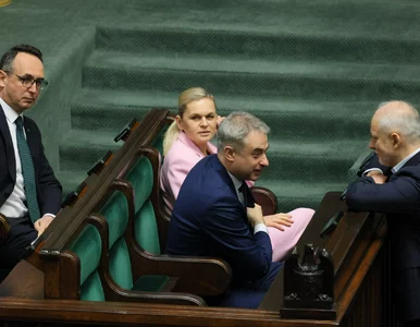 Miniatura: MEN wykonało zwrot, Polacy wystawili...