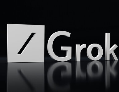 Miniatura: Polska poskarżyła się do KE na Groka. Jest...