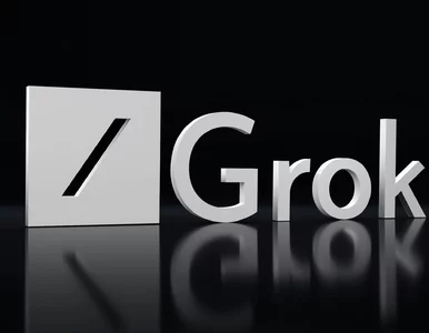 Miniatura: Polska poskarżyła się do KE na Groka. Jest...