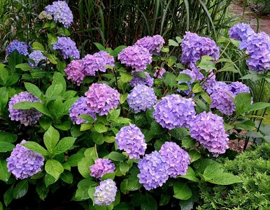 Miniatura: Planujemy idealne towarzystwo dla...