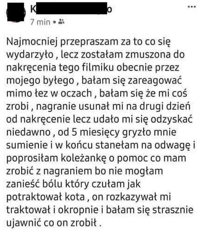 Oświadczenie osoby, która nagrywała katowanie kota