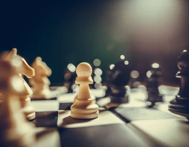 Miniatura: Ta gra kieruje ludzkim życiem. „W głowie...