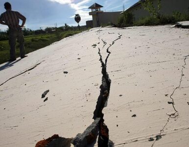 Miniatura: Indonezja: ziemia się zatrzęsła więc......