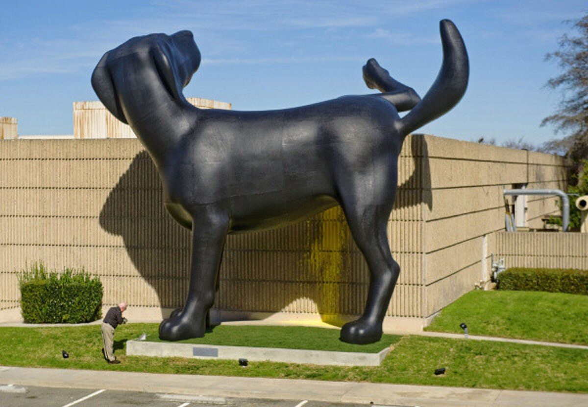 Bad dog, Orange County Museum "Bad Dog", autorstwa Richarda Jacksona, jest tymczasową rzeźbą zainstalowaną w Muzeum Sztuki Hrabstwa Orange. Szczeniak o wysokości 8,5 metra ma uniesioną nogę na bok muzeum i jest przystosowany do natryskiwania żółtej farby z boku budynku.