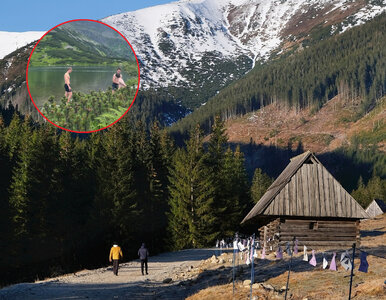 Miniatura: W Tatrach zawrzało po zdjęciu turystów....