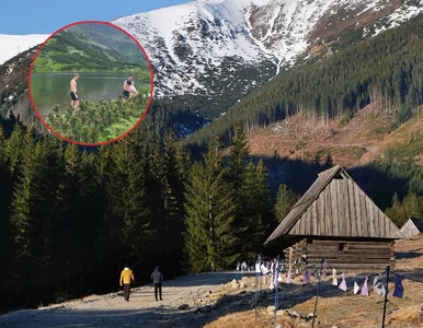 Miniatura: W Tatrach zawrzało po zdjęciu turystów....