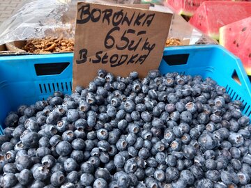 Bor&oacute;wki