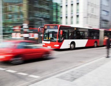 Miniatura: Polskie autobusy elektryczne będą...