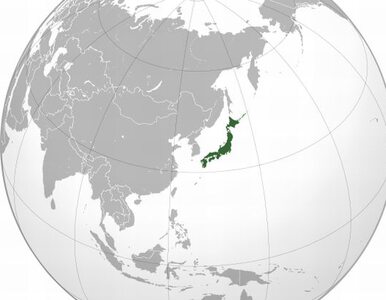 Miniatura: Japonię czekają kolejne wstrząsy