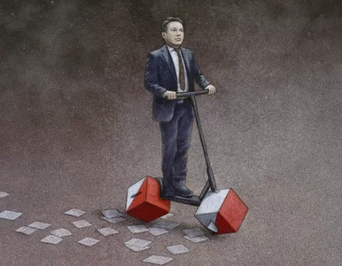 Miniatura: Mentzen się potyka, Hołownia się...