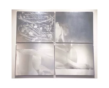 Agnieszka Pestka, twórczość 