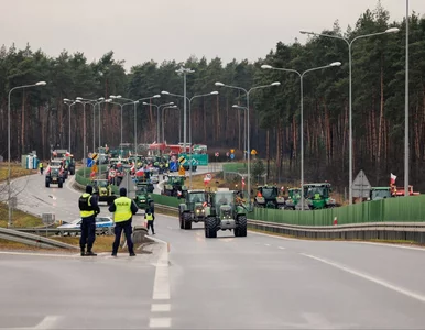 Miniatura: Skandaliczny transparent na strajku...