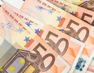 Miniatura: Euro - to się opłaca