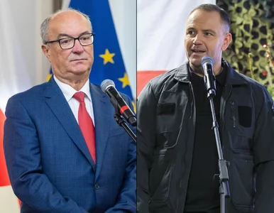 Miniatura: Wymiana ciosów na linii...