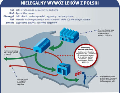 Miniatura: Gdzie są leki, których brakuje w Polsce?