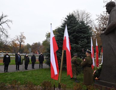 Miniatura: Władze świętują 11 listopada. Skromne...