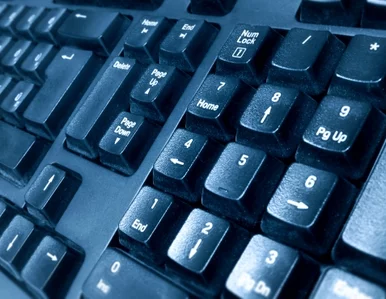 Miniatura: Nowa twarz europejskiego e-learningu