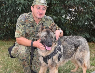 Miniatura: Straż Graniczna ma nowych, czworonożnych...