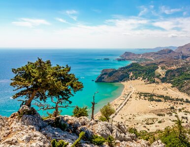 Miniatura: Taka cena last minute to rzadkość. Majówka...