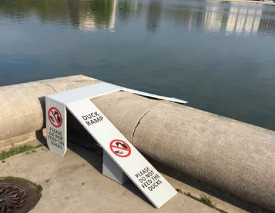 Miniatura: Na Kapitolu pojawiły się... rampy dla...