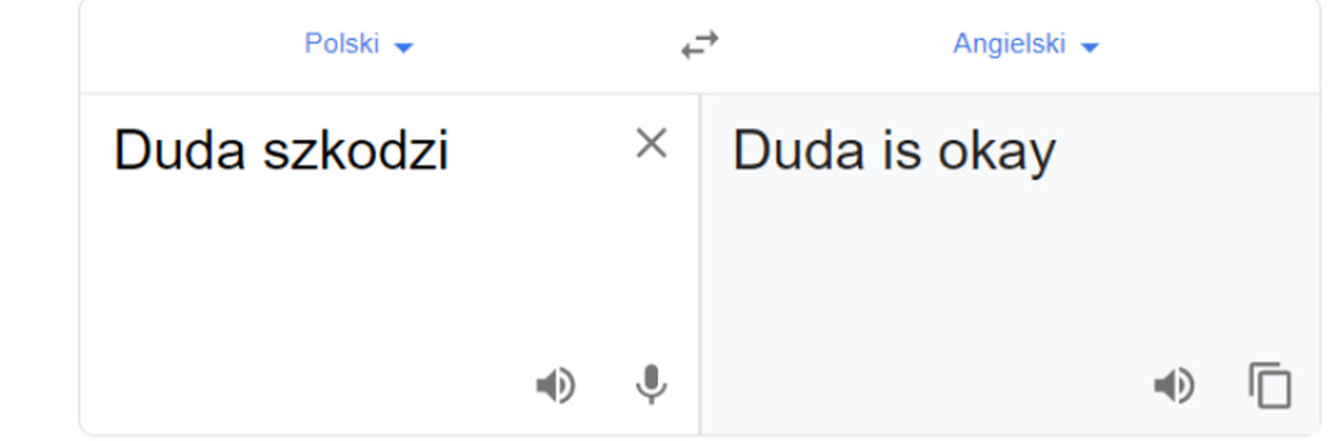 Miniatura: Tłumacz Google włącza się w kampanię...