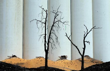 Liban. Rok po wybuchu w Bejrucie 