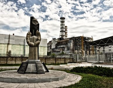 Miniatura: Niepokojące wieści z Czarnobyla....