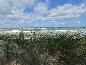 Miniatura: Złe wieści dla plażowiczów. Zawisły...