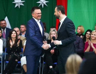 Miniatura: Młodzi, zdolni, (nie)uwikłani. Sojuszu PSL...