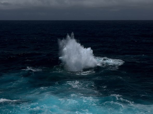 Miniatura: Na oceanie powstała nowa wyspa. Wszystko...