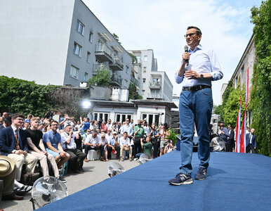 Miniatura: Co z zapowiadaną od dawna partią...
