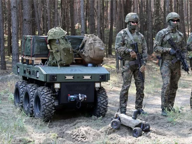 Miniatura: Sukces polskiej robotyki. Gnom...