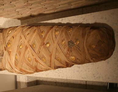 Miniatura: Niemcy: 10-latek znalazł na strychu... mumię