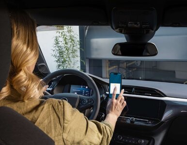 Miniatura: Polacy chcą mieszkać nowocześnie, ale z...