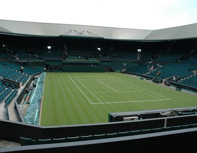 Miniatura: Polak zagra w półfinale Wimbledonu